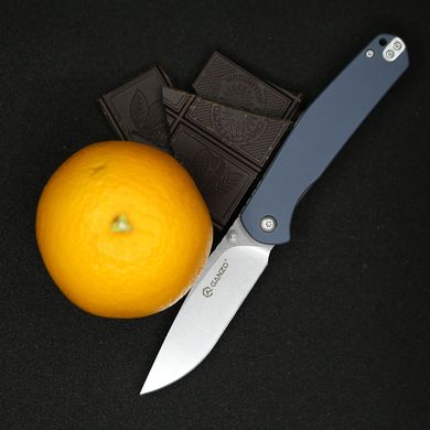 Купить Нож складной Ganzo G6804 серый в Украине