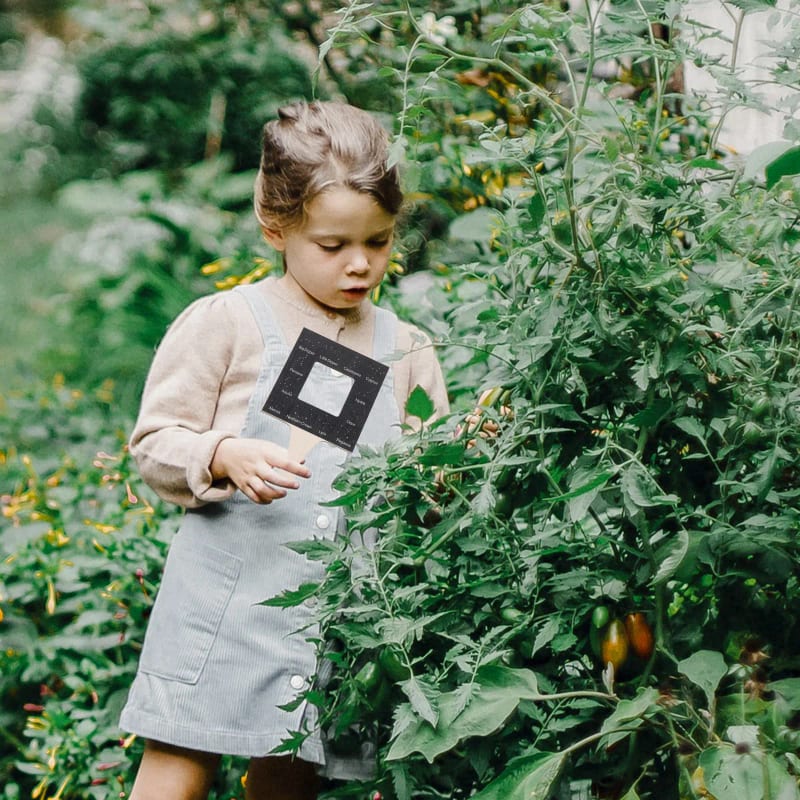 Біноклі — огляд кращих товарів