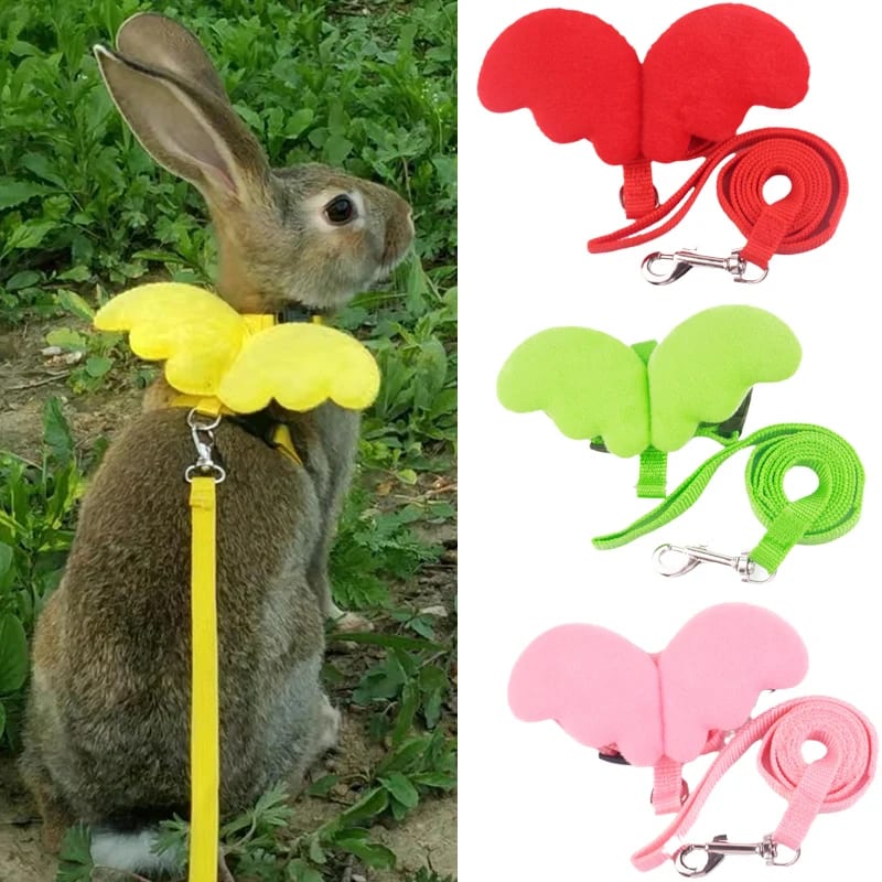 Повідці для тварин — огляд кращих товарів