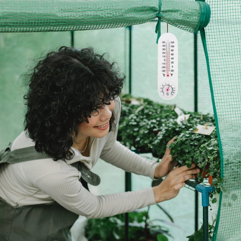 Термометри та гігрометри — товар 1