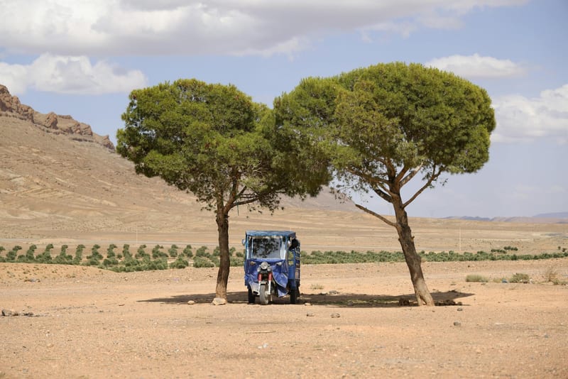 Топ-5 триколісних скутерів для села: кращі моделі… — фото 2