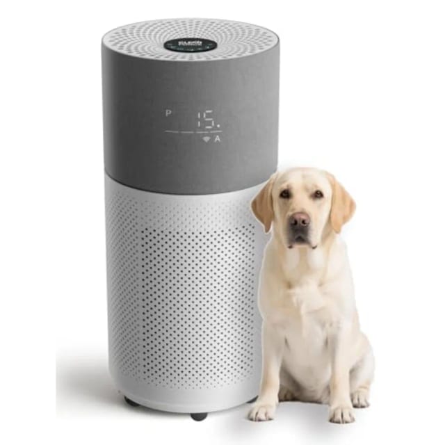 Сравнение очистителей воздуха: какой лучше для аллергиков и астматиков