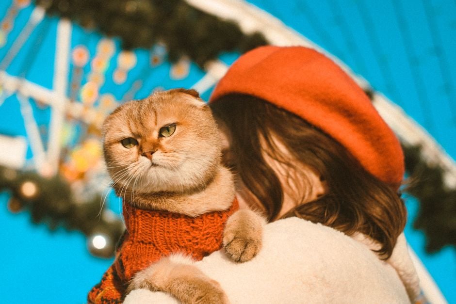 Тест: рюкзак-переноска для кота у громадському транспорті